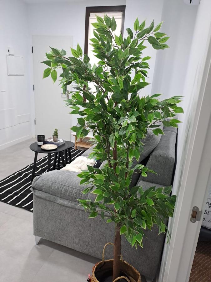 Apartament Jara Bajo B Malaga